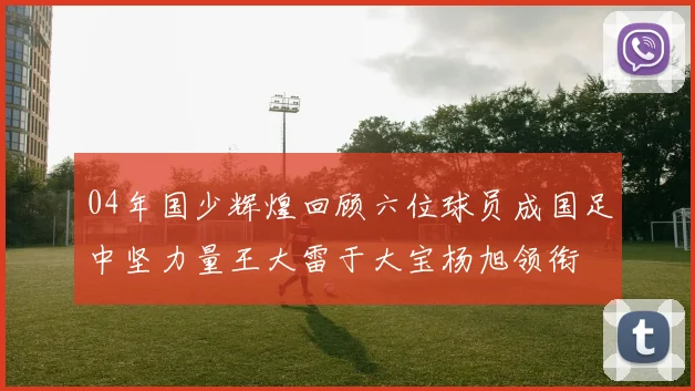 04年国少辉煌回顾六位球员成国足中坚力量王大雷于大宝杨旭领衔