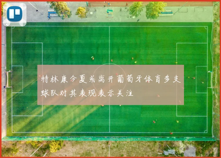 特林康今夏或离开葡萄牙体育多支球队对其表现表示关注